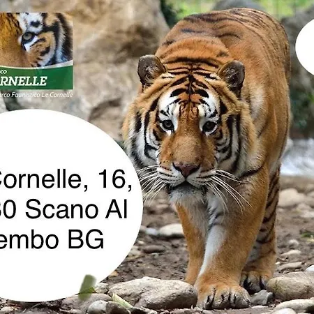3 شقة Cassano dʼAdda